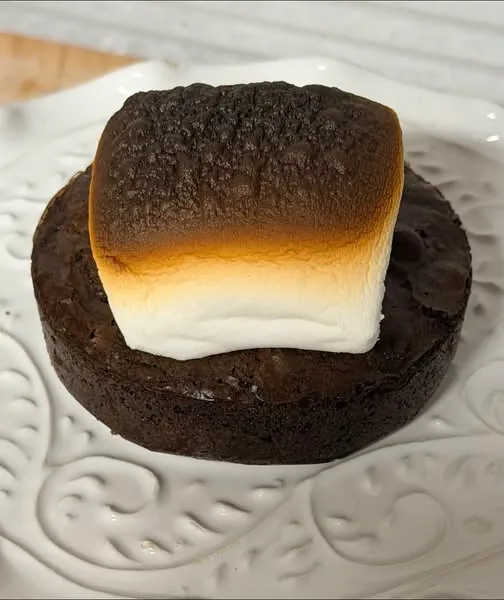 A toasted marshmallow-topped treat